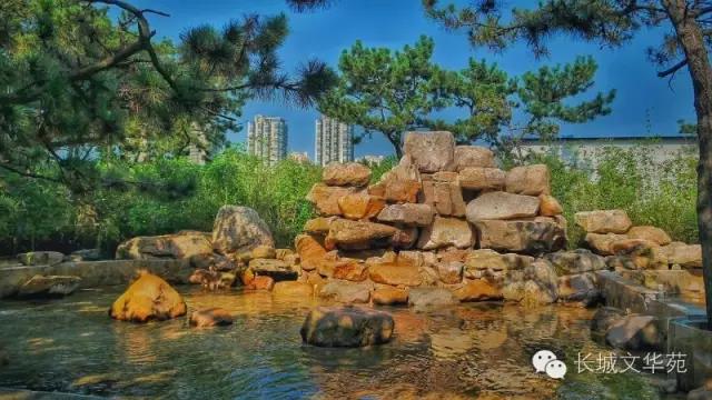 又是一年春來(lái)到(dào)，長城(chéng)文(wén)華花(huā)苑邀您賞春洗肺(圖16)